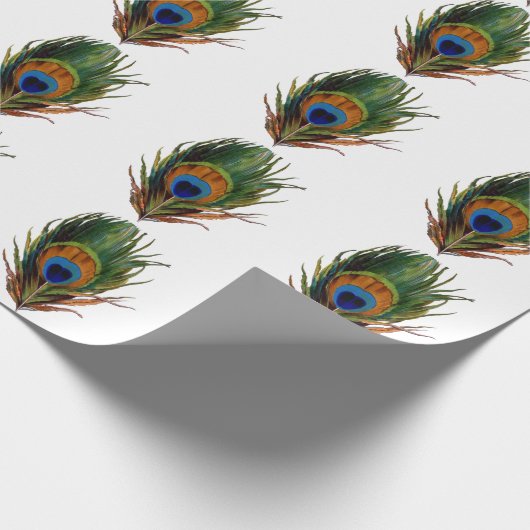 PixDezines Pfauenfeder/Deichhintergrund Geschenkpapier (Ecke)