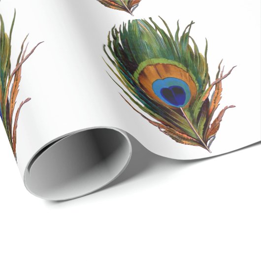 PixDezines Pfauenfeder/Deichhintergrund Geschenkpapier (Rolleneckpunkt)