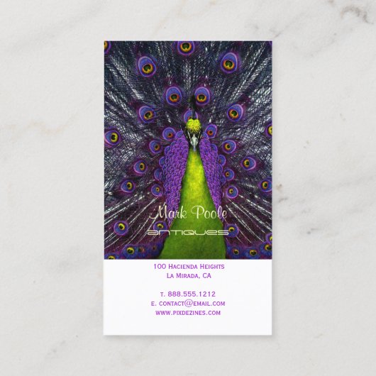 PixDezines Pfauenfeder/lila+smaragd Visitenkarte