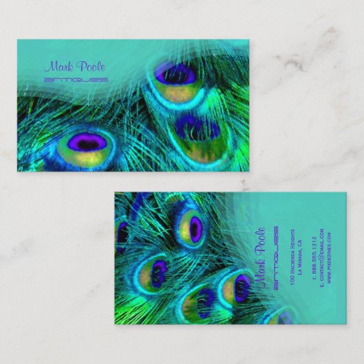 PixDezines PfauenfederVisitenkarten Visitenkarte (Vorne/Hinten)