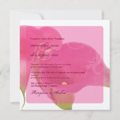 PixDezines Pink Calla Lily + Wirbel Einladung (Rückseite)