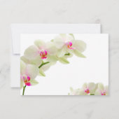 PixDezines Pink maui Orchideen/Empfang-Karten Einladung (Rückseite)