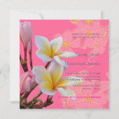 PixDezines Pink Plumeria Hochzeitsempfang Einladung (Rückseite)