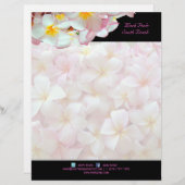 PixDezines Pink-Plumeria/Strandepots/Diy-Colo Briefkopf (Vorne/Hinten)