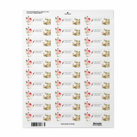 PixDezines Redoute Vintage Rose (Vorne)