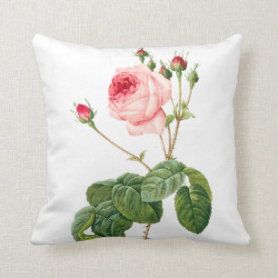PixDezines Redoute Vintage Rose/DIY Hintergrund Kissen