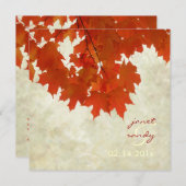 PixDezines Rotapel-Blätter/Herbst/Herbstereignis Einladung (Vorne/Hinten)