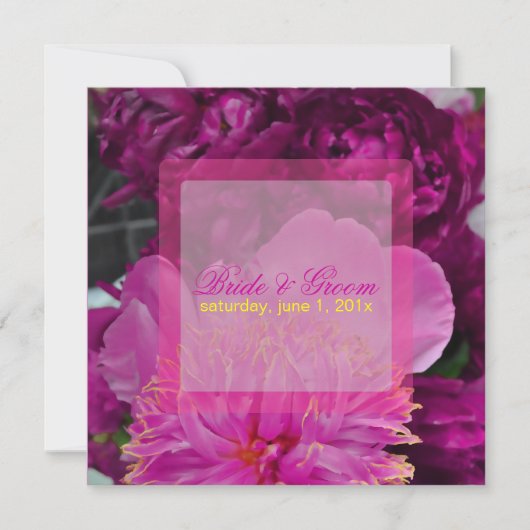 PixDezines Rotbäume/Junge Einladung (Vorderseite)