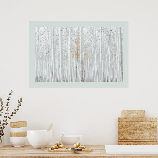 PixDezines Silber-Birkenwald DIY-Randfarbe Poster (Küche)