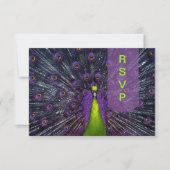 PixDezines uAwg Peacock Feather RSVP Karte (Vorderseite)