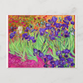 PixDezines van gogh iris/st. remy Postkarte (Vorderseite)