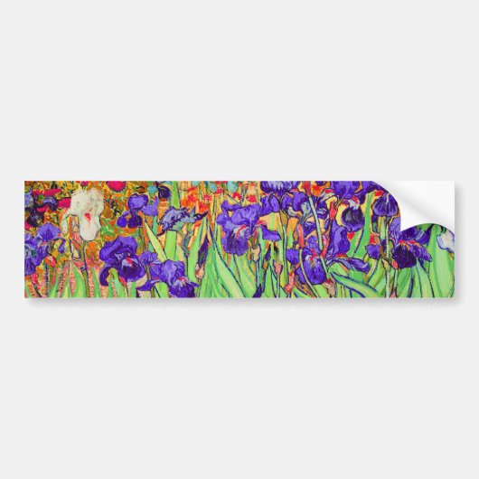 PixDezines van gogh iris/st. Rückstand Autoaufkleber (Vorne)