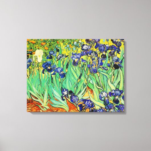 PixDezines van gogh irises/st. remy Leinwanddruck (Vorderseite)