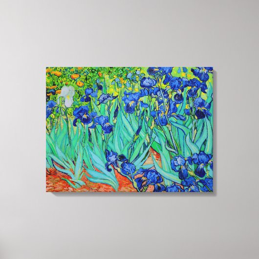 PixDezines van gogh irises/st. remy Leinwanddruck (Vorderseite)