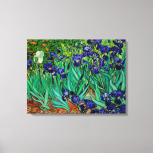 PixDezines van gogh irises/st. remy Leinwanddruck