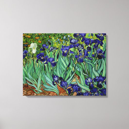 PixDezines van gogh irises/st. remy Leinwanddruck (Vorderseite)