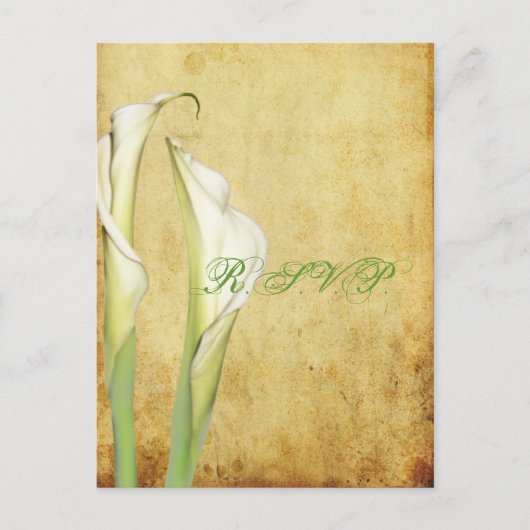 PixDezines Vintag Calla Lily Einladungspostkarte (Vorderseite)