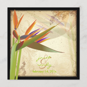 PixDezines VINTAGE PARADIESVOGEL Einladung