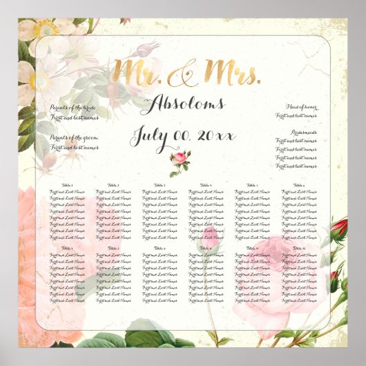 PixDezines Vintage Rose Sitzdiagramm Poster (Vorne)