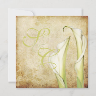 PixDezines Vintage Weiße Zantedeschia Einladung