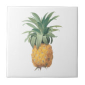 PixDezines Vintager Ananas-/Deuchhintergrund Fliese (Vorderseite)