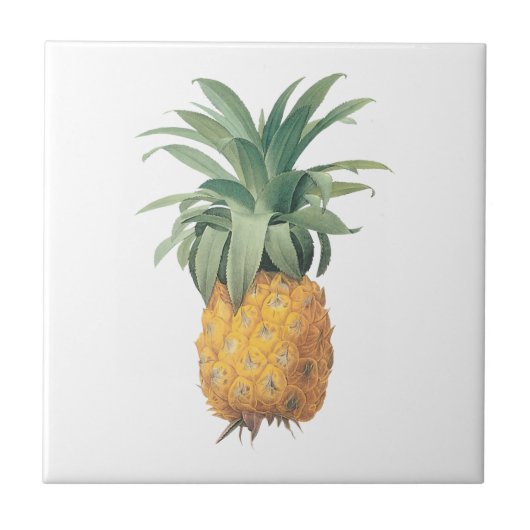 PixDezines Vintager Ananas-/Deuchhintergrund Fliese (Vorderseite)