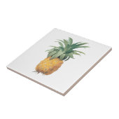 PixDezines Vintager Ananas-/Deuchhintergrund Fliese (Seite)