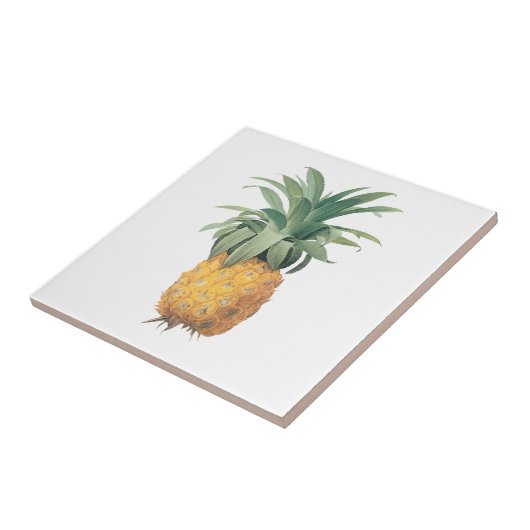 PixDezines Vintager Ananas-/Deuchhintergrund Fliese (Seite)