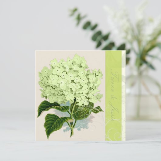 PixDezines Vintages grünes Hydrangea Einladung (Stehend Vorderseite)