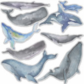 PixDezines Watercolor Whales Aufkleber (Vorderseite)