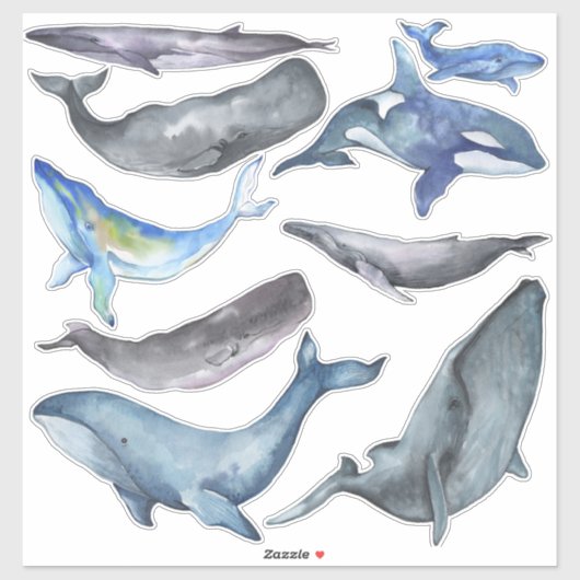 PixDezines Watercolor Whales Aufkleber (Blatt)