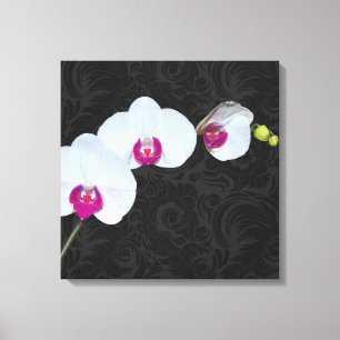 PixDezines Weiße Orchidee/DIY Hintergrundfarbe Leinwanddruck
