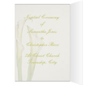 PixDezines weißer Calla-Lilies/dunkler Hintergrund (Innen (Links))