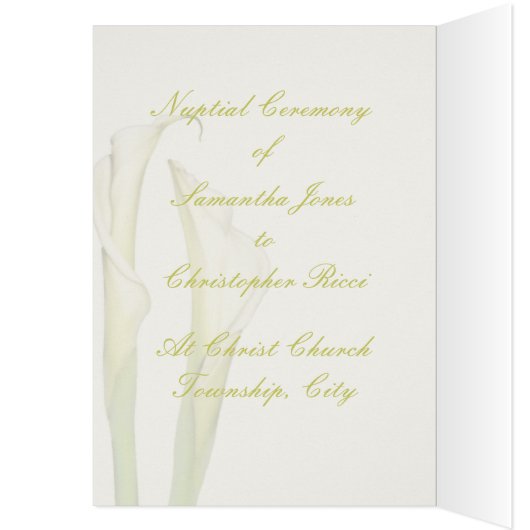 PixDezines weißer Calla-Lilies/dunkler Hintergrund (Innen (Links))