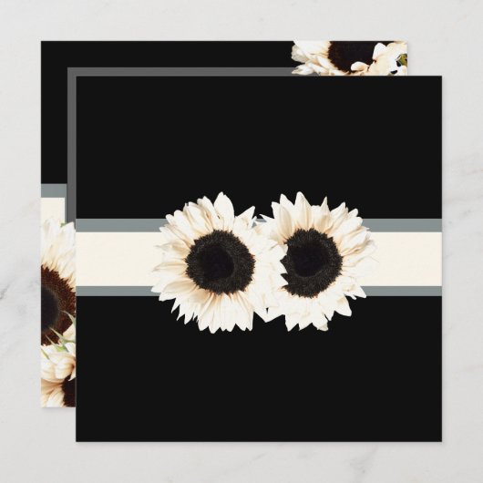 PixDezines weißes Sonnenblumen/Tageslicht Hintergr Einladung (Vorne/Hinten)