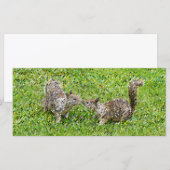 Pixel Art - zwei Eichhörnchen (Vorne/Hinten)