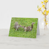 Pixel Art - zwei Eichhörnchen Karte (Gelbe Blume)