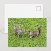 Pixel Art - zwei Eichhörnchen Postkarte (Vorne/Hinten)