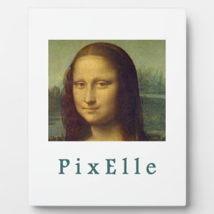 Pixel-Frau Fotoplatte