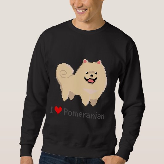 Pixel-Spitz Sweatshirt (Vorderseite)