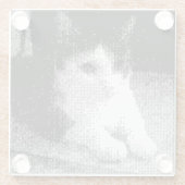 pixelige Katze Glasuntersetzer (Rückseite)