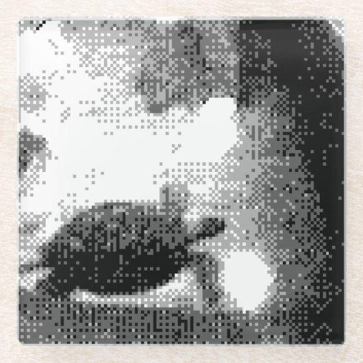 pixelige Schildkröten Glasuntersetzer (Vorderseite)