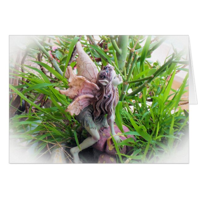 Pixie (Vorderseite (Horizontal))