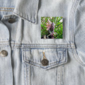 Pixie Button (Beispiel)