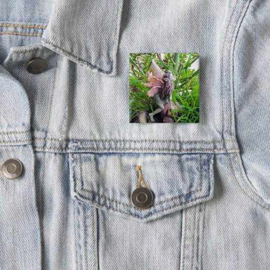 Pixie Button (Beispiel)