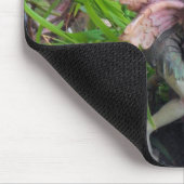 Pixie Mousepad (Ecke)