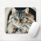 Pixie Mousepad (Mit Mouse)