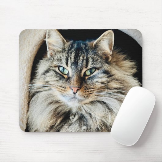 Pixie Mousepad (Mit Mouse)