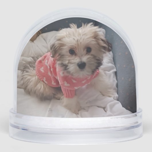 Pixie popper snow globe schneekugeln (Vorderseite)