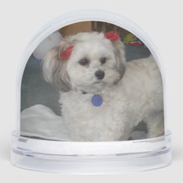 pixie popper snow globeSnow Globe Schneekugeln